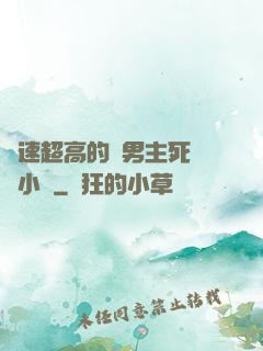 車速超高的雙男主死對頭小說