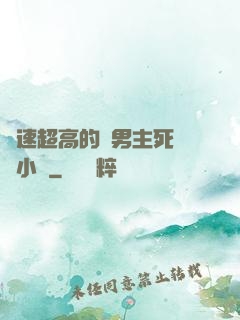 車速超高的雙男主死對頭小說