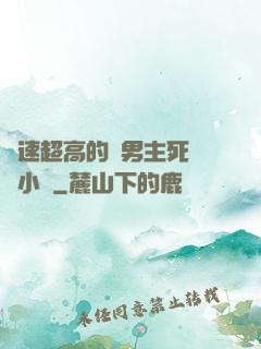 車速超高的雙男主死對頭小說