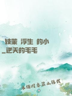 軍妓茉兒浮生夢的小說