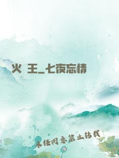 軍火為王