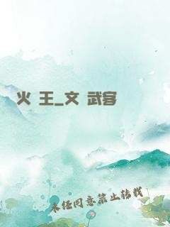 軍火為王