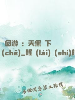 輪回游戲：天黑別下車(chē)