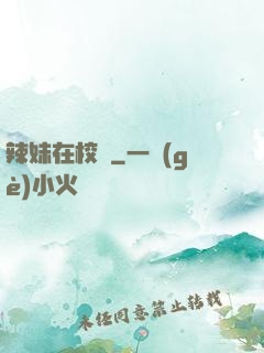 辣妹在校園