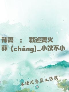 辣妻來襲：總裁追妻火葬場(chǎng)