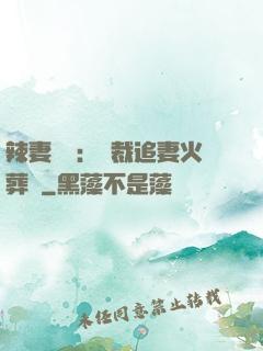 辣妻來襲：總裁追妻火葬場