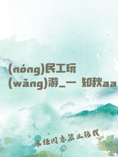 農(nóng)民工玩網(wǎng)游