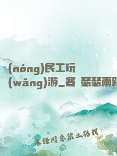 農(nóng)民工玩網(wǎng)游