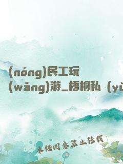 農(nóng)民工玩網(wǎng)游