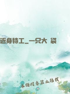 近身特工