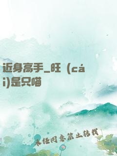 近身高手