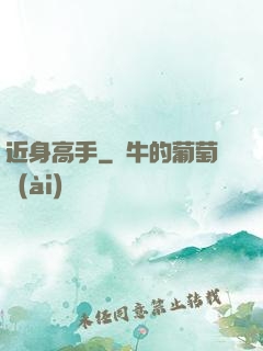 近身高手