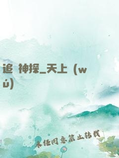 追兇神探