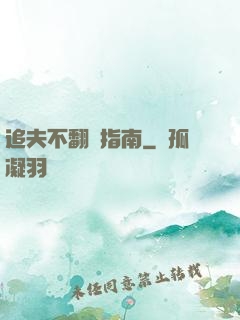 追夫不翻車指南