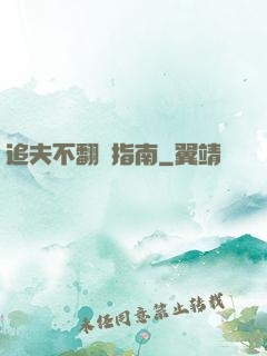 追夫不翻車指南