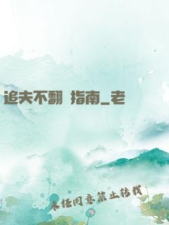 追夫不翻車指南
