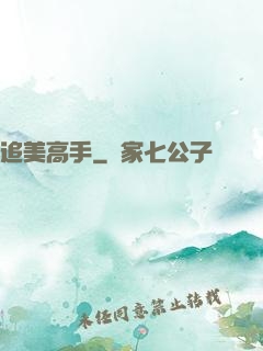 追美高手