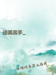 追美高手