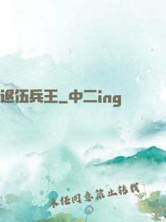 退伍兵王
