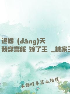 退婚當(dāng)天我穿喜服強嫁了王爺