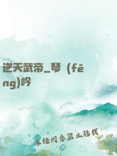 逆天武帝