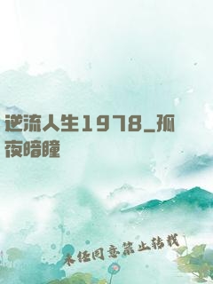 逆流人生1978