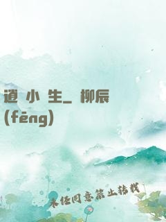逍遙小書生