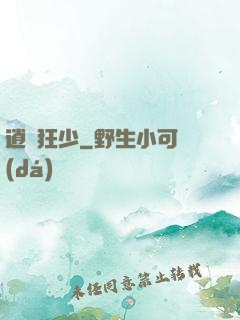 逍遙狂少