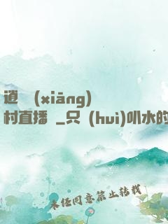 逍遙鄉(xiāng)村直播間