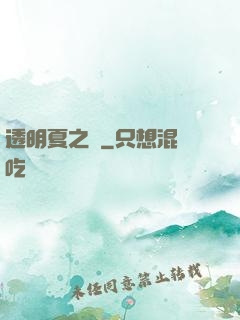 透明夏之戀