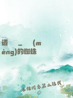 透視寶鑒