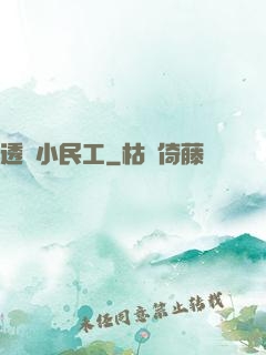 透視小民工