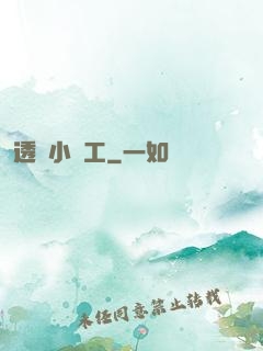 透視小礦工
