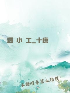 透視小礦工