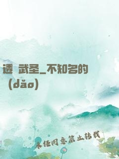 透視武圣