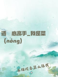 透視貼心高手