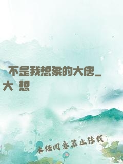這不是我想象的大唐