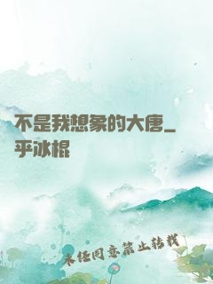 這不是我想象的大唐