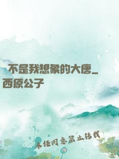 這不是我想象的大唐