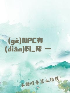 這個(gè)NPC有點(diǎn)料