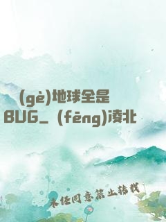 這個(gè)地球全是BUG