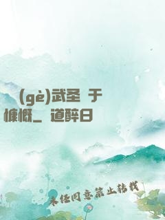 這個(gè)武圣過于慷慨