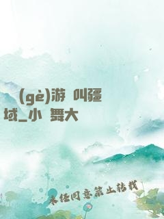 這個(gè)游戲叫疆域