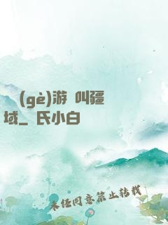 這個(gè)游戲叫疆域