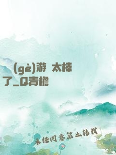 這個(gè)游戲太棒了