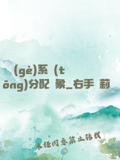 這個(gè)系統(tǒng)分配對象