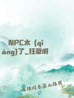 這個NPC太強(qiáng)了
