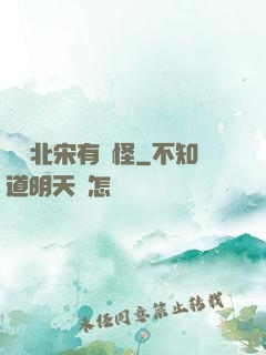 這個北宋有點怪