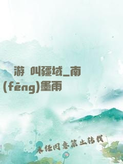 這個游戲叫疆域