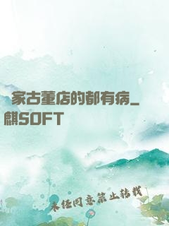 這家古董店的都有病